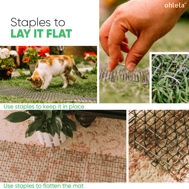 Ohlela Scat Mat for Cats - Furniture Protectors from Pets - Great for Cat Deterrent Indoor & Outdoor PP Plastic Spikes Mat - Wide Area Coverage - Large & Adjustable Size (78 in x 12 in) 6.5ft x 12in Grey - BeesActive Australia