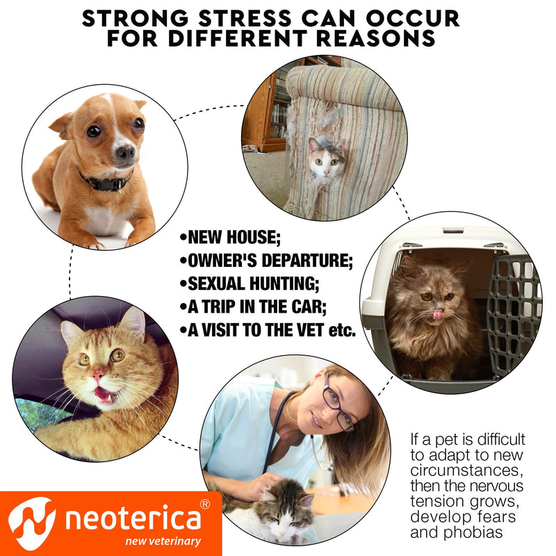 Cat Calming Collar & Pet Anti Anxiety Products - Feline Calm Pheromones Collars & Cats Stress Relief - Relaxivet Comfort Helps with Pee, New Zone, Aggression, Fighting with Dogs & Other Behavior 2 Count (Pack of 1) - BeesActive Australia