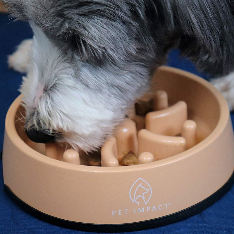 PET IMPACT Slow Feeder Dog Bowl, Natural Bamboo Fibre Bowl to Slow Down Eating, Prevent Risk of Choke Bloat Overeating with Interactive Feeding Medium Earth - BeesActive Australia