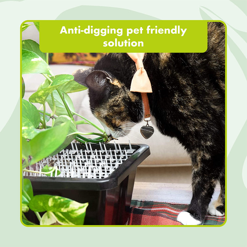 Homarden Transparent Outdoor Training Mat for Cats (6.5 ft) - Cat Mat with Spikes, Scat Mat for Cats, Cat Deterrent Outdoor & Indoor with 12 Garden Staples 6.5 Feet - BeesActive Australia