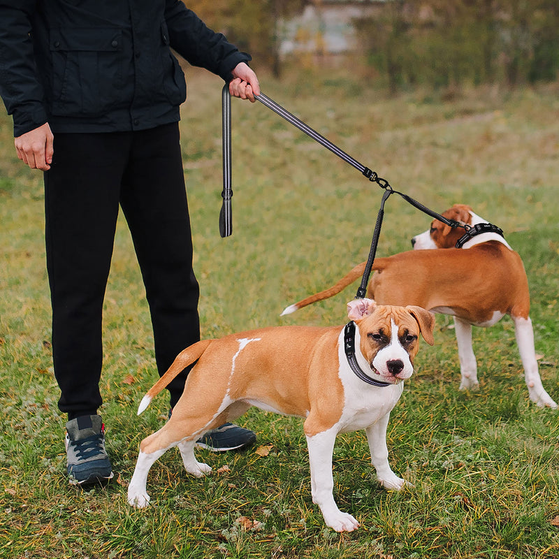 Kruz Double Dog Coupler - KZVX2- Tangle Free Dog Walking and Training Dual Extension Coupler - Comfortable, Shock Absorbing - Reflective Bungee Coupler for Two Dogs Gray Medium: 3/4" x 17" - BeesActive Australia