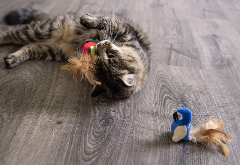 Petlinks Electronic Sound Cat Toys for Cats & Kittens, Stimulating & Satisfies Instincts, Battery Powered - Multiple Styles Set of 1 Parrot Tweet (Randomly Selected Color) - BeesActive Australia