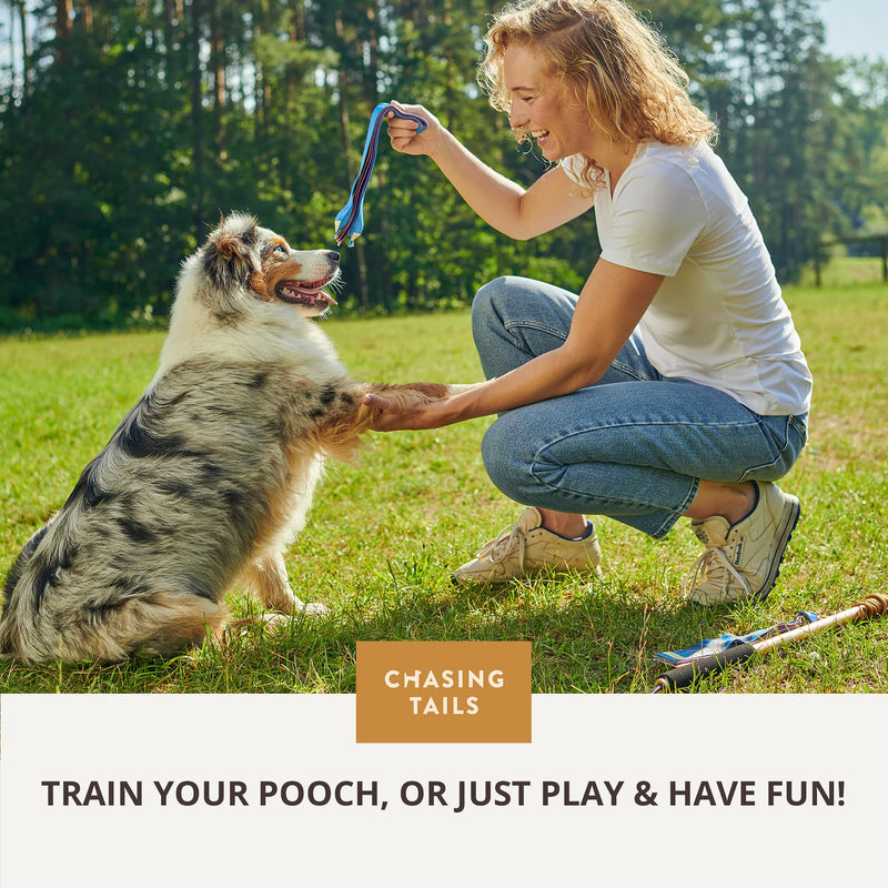 Chasing Tails Flirt Pole For Dogs Large Breed Heavy Duty - Dog Flirt Pole Teaser, Dog Exercise Equipment, Spring Pole for Dogs, Dog Training Toys Dog Flirt Pole for Large Dogs Chase Stick Catcher Pole - BeesActive Australia