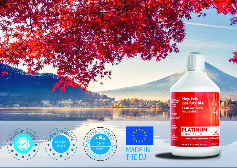 VitaZam Glucosamine and Chondroitin High Strength Platinum Joint Flex 500 ml Liquid MSM, Chondroitin Sulphates with Strong Osteoarthritis Formulation for Bones and Joint Health, Berry Flavour - BeesActive Australia