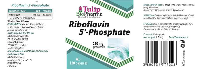 Tulip BioPharma Vitamin B2 (Riboflavin 5'-Phosphate) 250mg 120 Capsules, 3rd Party Lab Tested, High Strength Supplement, Gluten and GMO Free - BeesActive Australia