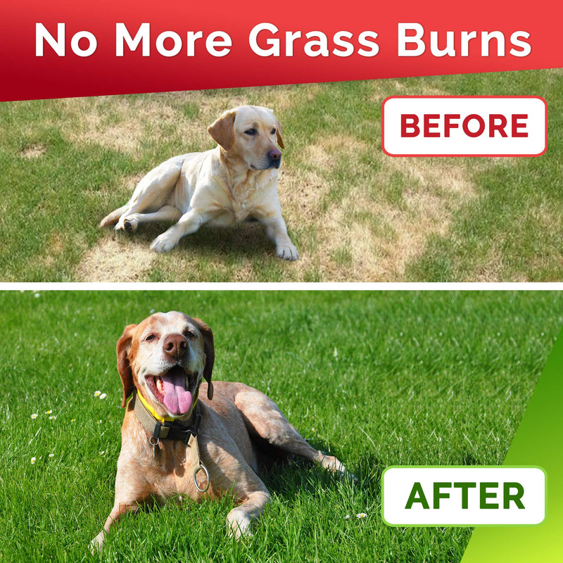 GOODGROWLIES Grass Restore Treats - Dog Urine Neutralizer for Lawn - Natural Grass Treatment for Dog Urine - Dog Pee Lawn Repair - Grass Burn Spot Chews - DL-Methionine - Healthy Bladder - 120 Ct Chicken 120 chews - BeesActive Australia