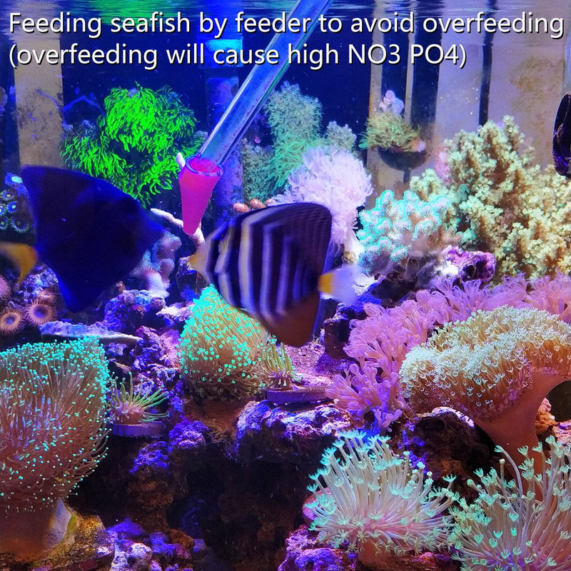 Aquarium Choice Coral Feeder Long Syringe Tube Liquid Fertilizer Feeder SPS HPS Marine Reef Coral Feeder Tool Fish Excreta Cleaner 40CM/15.74 Inch - BeesActive Australia
