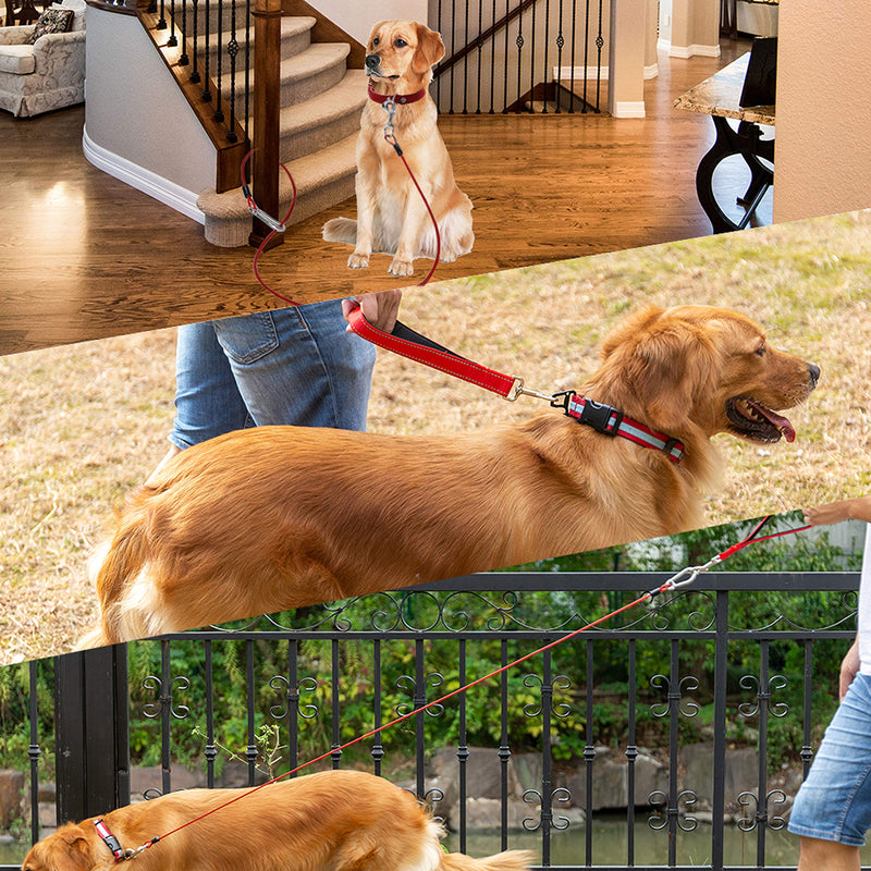 Short Dog Leash - Chew Proof 5 FT Dog Tie Out Cable with Reflective Soft Padded Handle for Training Walking Running Hiking Camping - Heavy Duty Lead Strong Dog Cable for Small Medium Large Dog Red - BeesActive Australia