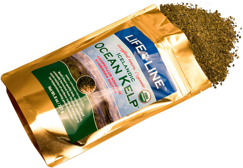 Life Line Pet Nutrition Organic Ocean Kelp Supplement for Skin & Coat, Digestion in Dogs & Cats, 8oz (20200) - BeesActive Australia