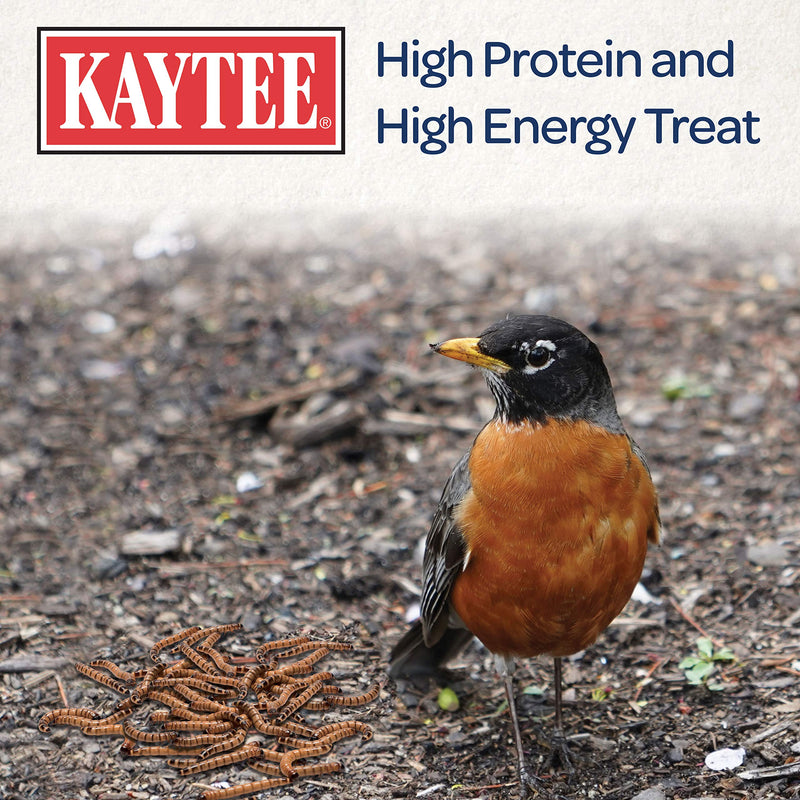 Kaytee Mealworm Food Pouch 3.5 Ounce (Pack of 1) Bird Food Mealworms - BeesActive Australia