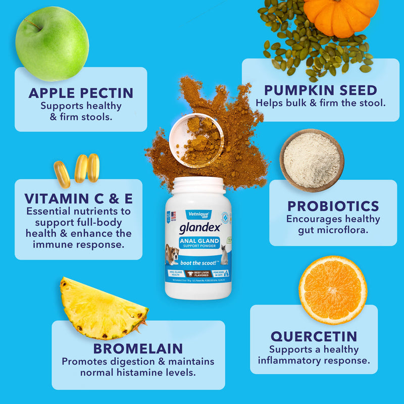 Glandex Dog Fiber Supplement Powder for Anal Glands with Pumpkin, Digestive Enzymes & Probiotics - Vet Recommended Healthy Bowels and Digestion - Boot The Scoot by Vetnique Labs (Beef Liver, 4.0 oz) - BeesActive Australia