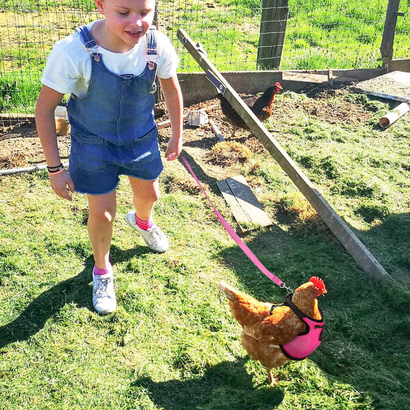 Adhafera Chicken Harness with Leash, Upgraded Double Adjustment Chicken Harness and Leash Set for Hens, Duck, Goose, Small Pet Pink S - BeesActive Australia