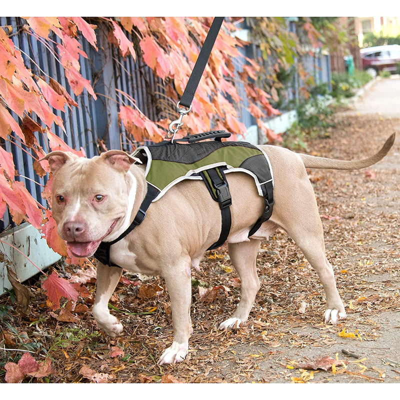 Peak Pooch - No-Pull Dog Harness - Padded Mesh Fabric Dog Vest with Reflective Trim, Lifting Handles, Velcro and Buckle Straps Medium (22" - 31" chest) Hunter Green - BeesActive Australia