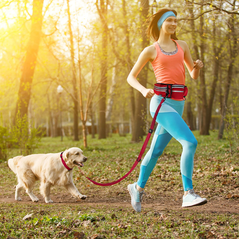 Kruz Jogging Belt & Hands Free Dog Leash - KZJBELT - Retractable Shock Absorbing Bungee Leash with Waist Belt - Running, Walking, Training, Hiking - Comfortable, Adjustable and Durable Turquoise - BeesActive Australia