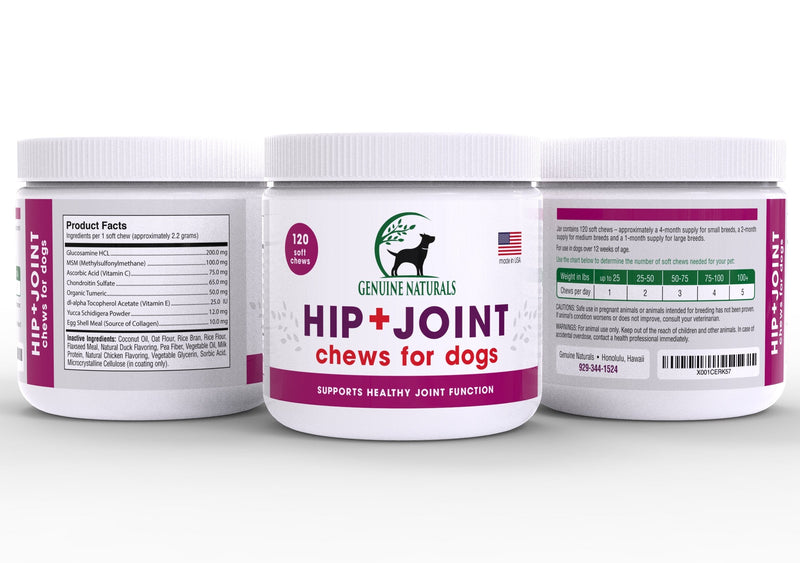 Genuine Naturals™ Glucosamine Chondroitin, MSM, Organic Turmeric Soft Chews, Hip and Joint Supplement for Dogs, Supports Healthy Joint Function and Helps with Pain Relief, 120-Count - BeesActive Australia