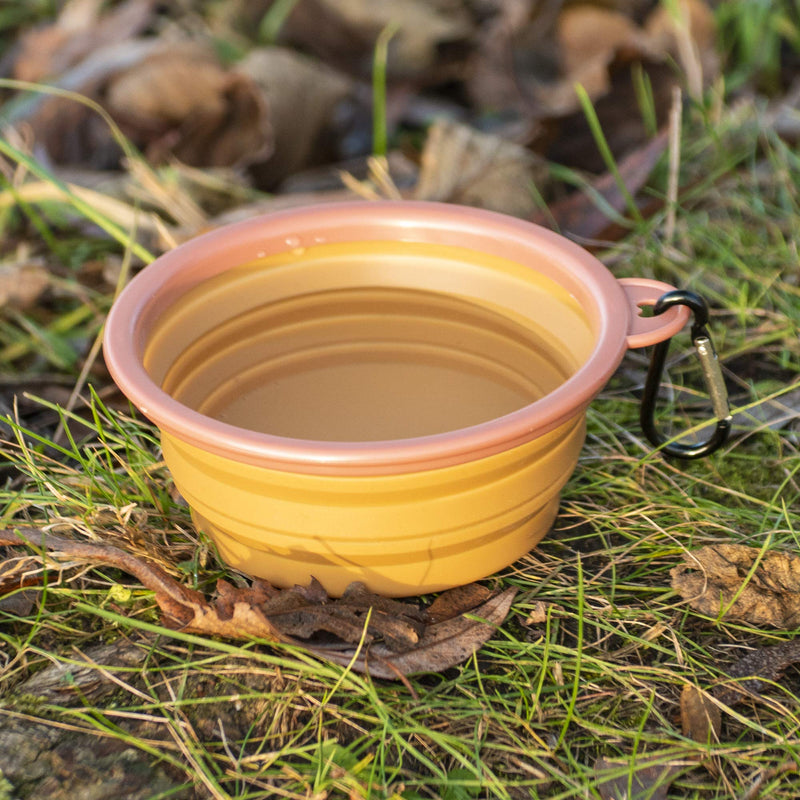 Made Easy Kit Portable Collapsible Dog Bowl for Water or Food Great Pet Travel Bowl in Multiple Sizes (Standard - 12oz, Brown) - BeesActive Australia