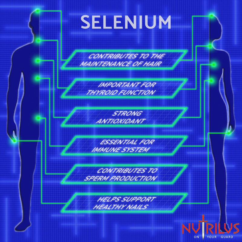 Selenium 120 Capsules 200�g - Natural Selenomethionine - High Bioavailability - High Strength - One-a-Day - Immune, Thyroid, Fertility - Hair and Nails - BeesActive Australia