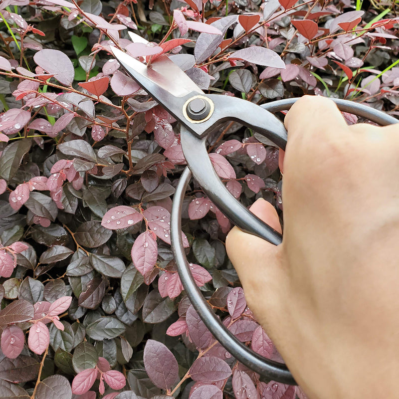 gonicc Professional 7.3" Bonsai Scissors(GPPS-1012), For Arranging Flowers, Trimming Plants, For Grow Room or Gardening, Bonsai Tools. Garden Scissors Loppers. - BeesActive Australia