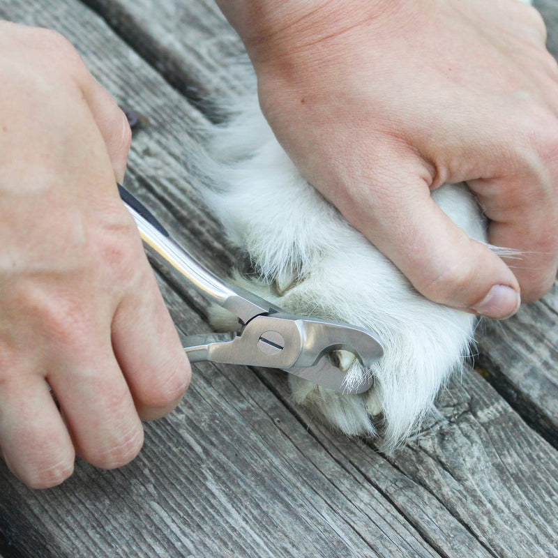 MiMu Large Dog Nail Clippers for Thick Nails - Steel Dog Nails Trimmer Tool with Comb and Nail File for Large Small Pets - BeesActive Australia