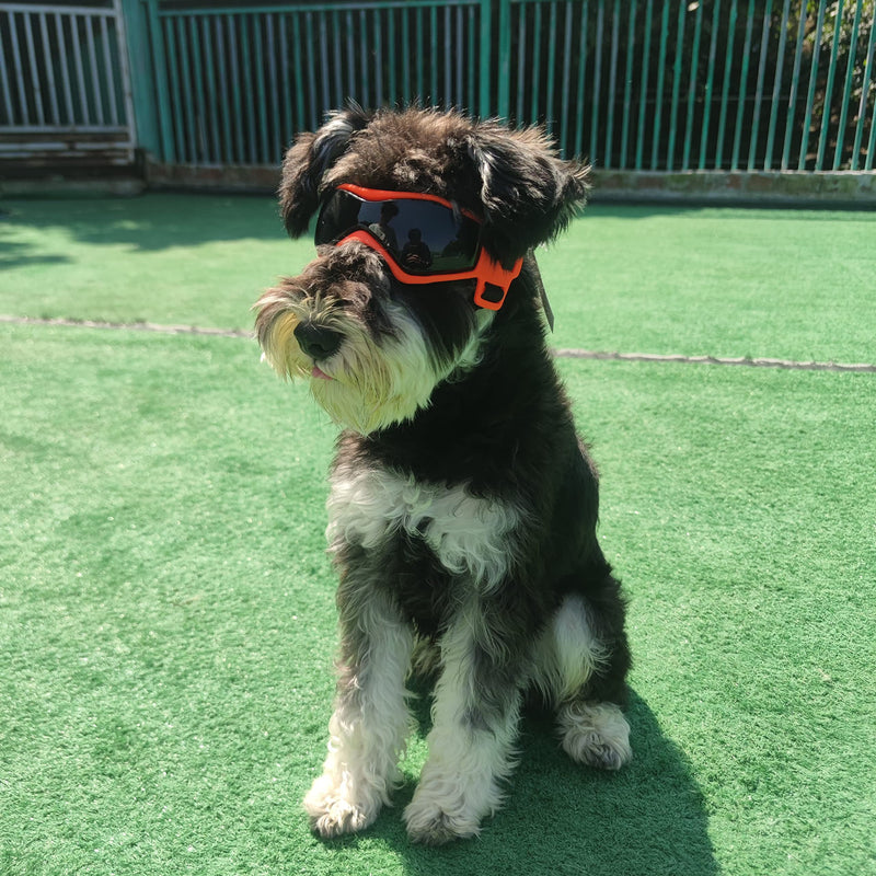 PETLESO Dog Goggles Small Breed, Easy Wear Small Dog Sunglasses, Adjustable UV Protection Puppy Sunglasses for Small to Medium Dog Orange - BeesActive Australia