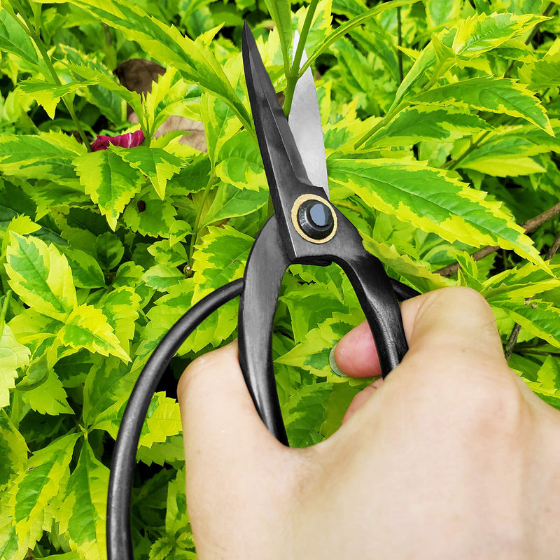 gonicc Professional 7.3" Bonsai Scissors(GPPS-1012), For Arranging Flowers, Trimming Plants, For Grow Room or Gardening, Bonsai Tools. Garden Scissors Loppers. - BeesActive Australia