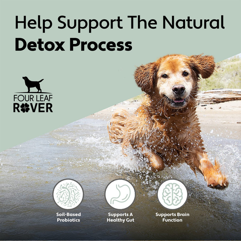 Four Leaf Rover: Protect - Soil-Based Probiotics for Dogs with Food-Based Prebiotics for Gut Health and Immune Support - Up to 90 Servings, Depending on Dog’s Weight - Vet Formulated - for All Breeds - BeesActive Australia