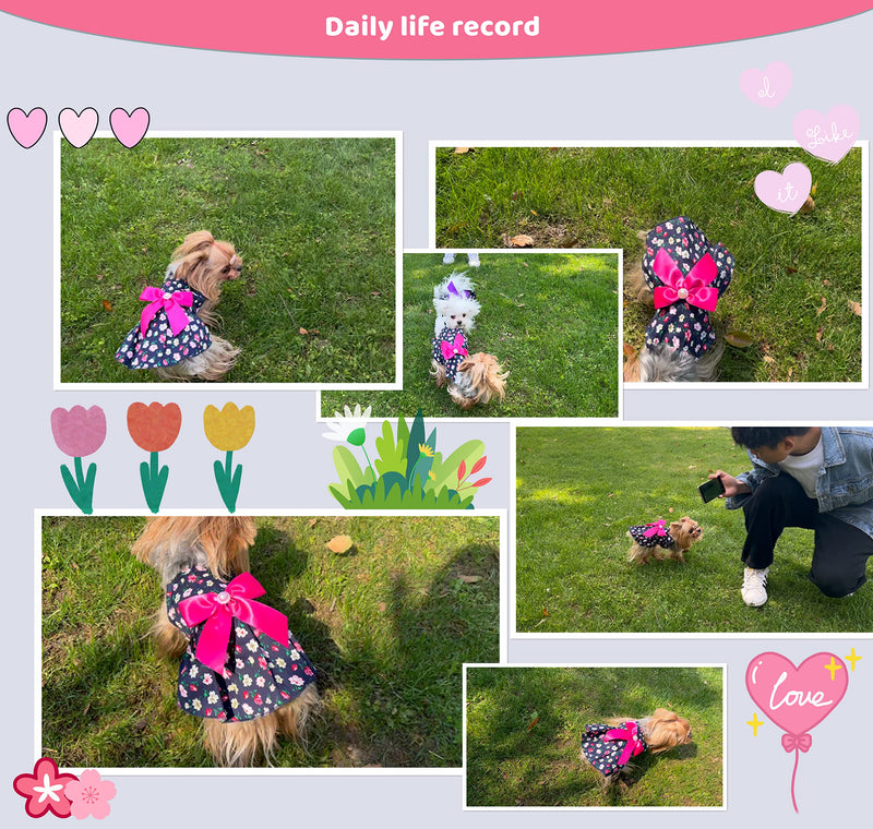 MSNFOASM 2pcs-New Spring Summer Puppy Dog Dress,Cute Colored Sun Flower Dog Bow Skirt for Small Girl Dogs XXS/(Chest 10",Back 8") RoseRed+Pink - BeesActive Australia