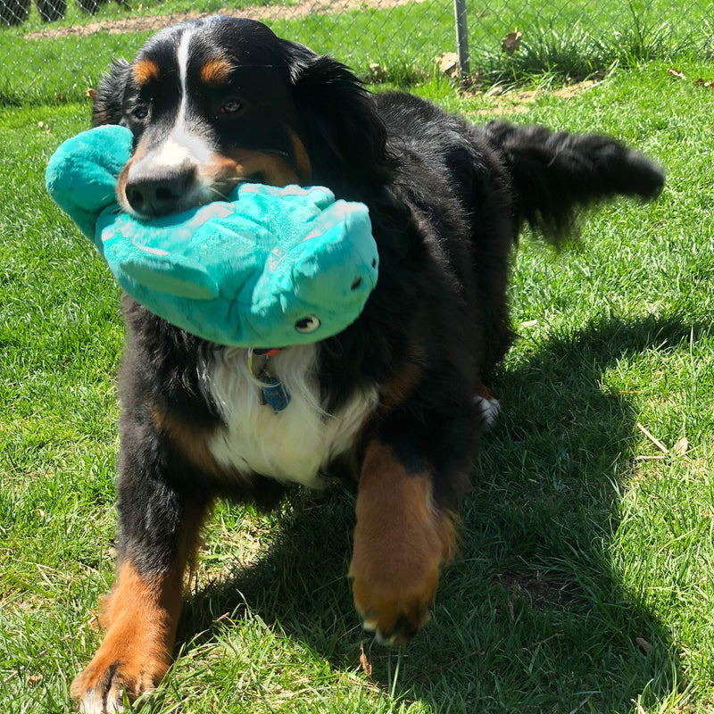 Snuggle Puppy Tender-Tuffs - Large Marine Stuffed Plush Manatee Toy - With Puncture Resistant Squeaker, Great for Big Dogs - BeesActive Australia