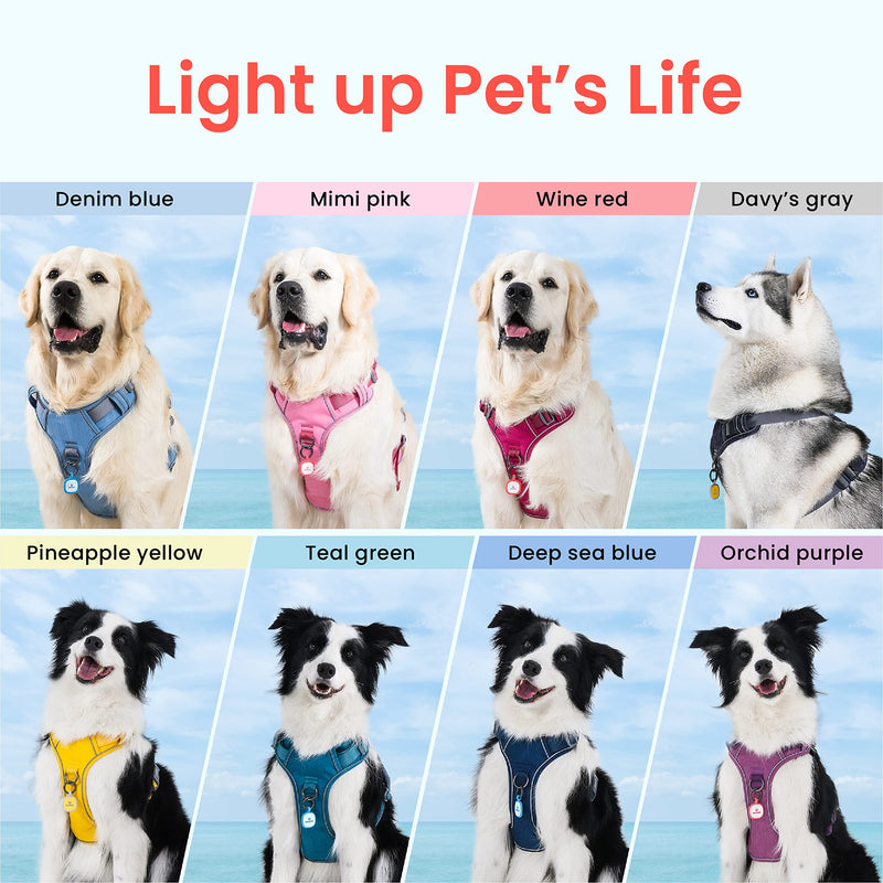 Pawaii Dog Harness, No-Pull Pet Harness with Pet ID Tag, No Choke Front Lead Dog Harness, Adjustable Soft Padded Pet Vest with Easy Control Handle M (Chest: 22"-27" ) Teal Green - BeesActive Australia