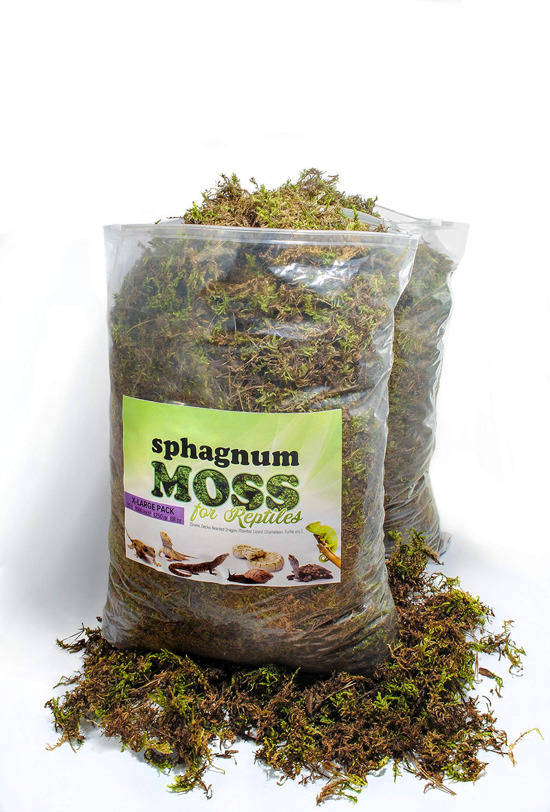 My Happy Snails Reptile Moss - Organic Green Spagnum Moss - Dried Substrate for Terrarium Vivarium Medium Pack - 5 litres / 250 gr / 18 oz - BeesActive Australia