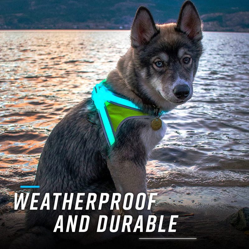 noxgear LightHound – Revolutionary Illuminated and Reflective Harness for Dogs Including Multicolored LED Fiber Optics (USB Rechargeable, Adjustable, Lightweight, Rainproof) Medium - BeesActive Australia