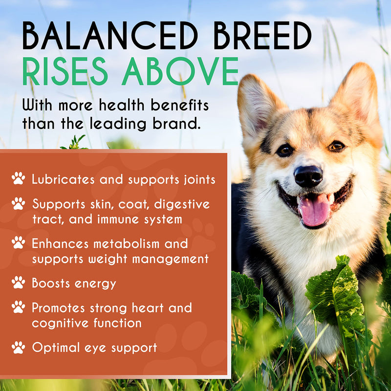 Balanced Breed Small & Large Dog Multivitamin Chewable w/ Glucosamine Dog Vitamins & Supplements Chondroitin MSM Hip & Joint Support Old Senior Health Salmon Oil Immune Booster Skin Heart Probiotics - BeesActive Australia