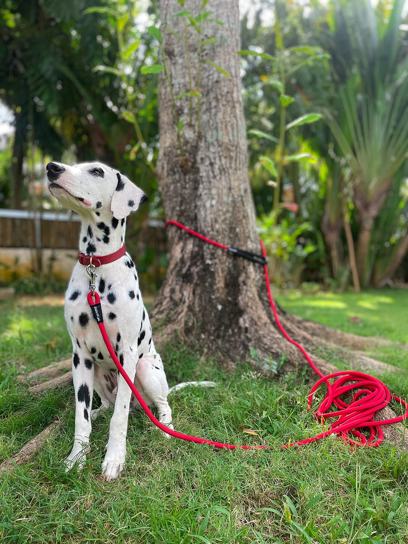 Tuff Pupper Heavy Duty 30 Foot Long Rope Leash for Dogs | Dog Recall Training Leash | High Visibility Strong Climbing Rope Leash | Hand or Waist Worn | Stainless Steel 360° Clips for Tangle Free Use March Red - BeesActive Australia