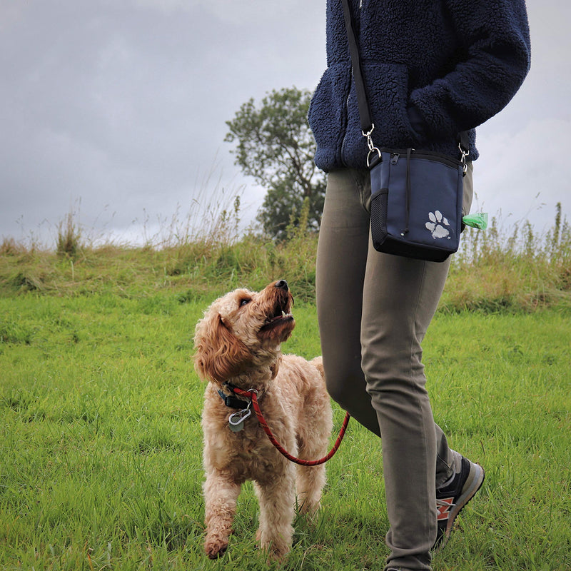 Pet Impact Dog Treat Pouch, Dog Walking Bag for All Your Essential Items, One of a Kind Eco-Friendly Treat Bag Wanderlust - BeesActive Australia