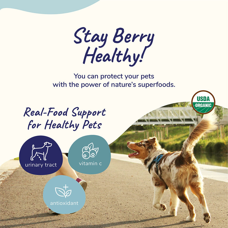 kin+kind Dog Supplement Powder - Cranberry Supplement for Dogs and Cats for Healthy Immunity - Cat & Dog Bladder Support - Natural Formula with Organic Cranberry, Blueberry and Coconut - Made in USA 8 Ounce (Pack of 1) - BeesActive Australia
