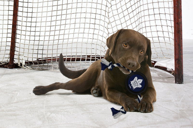 Pets First NHL Dog Toys Hockey Puck Toy Toronto Maple Leafs - BeesActive Australia