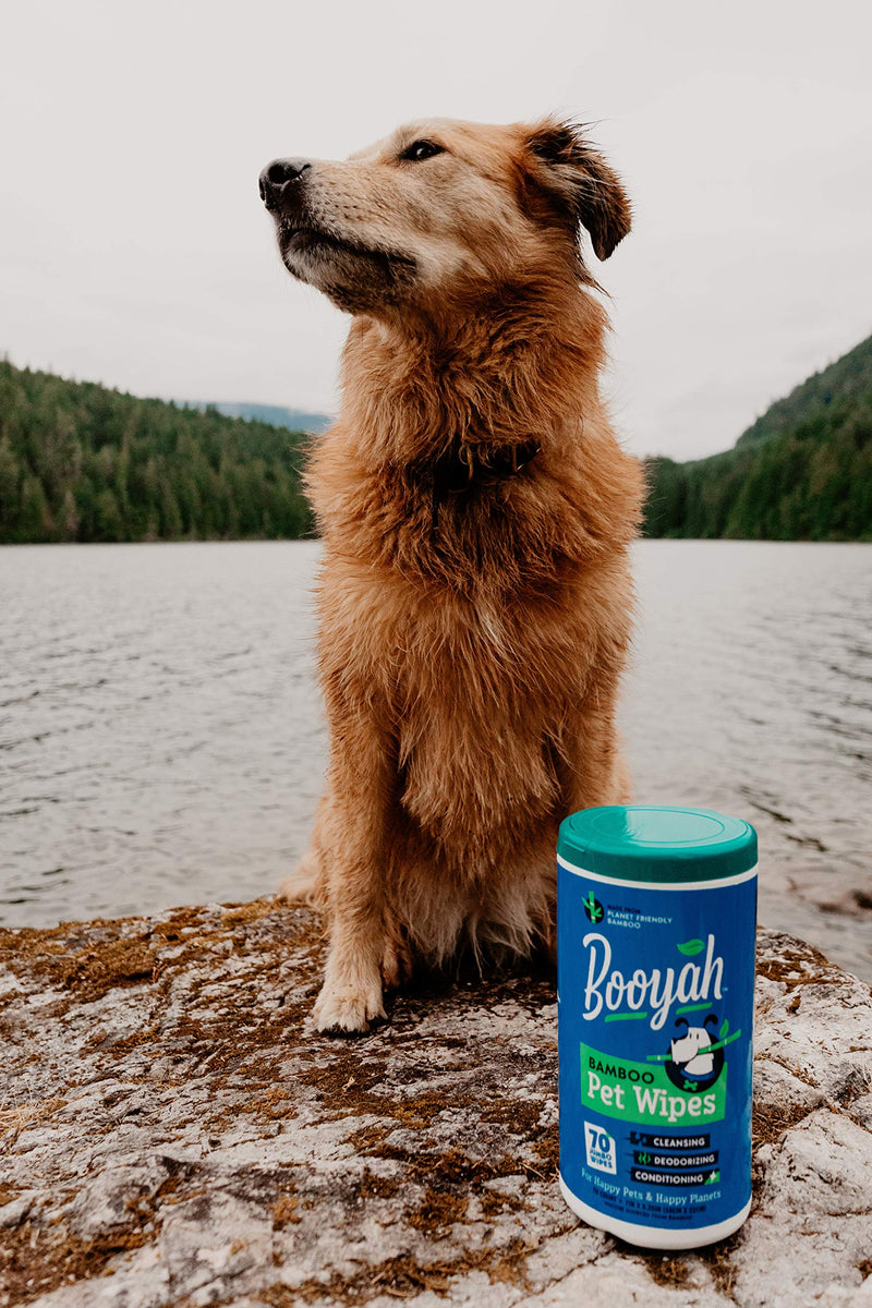 Booyah Tree Free Bamboo Pet Wipes for Dogs & Cats | Natural, Earth Friendly, Deodorizing, Hypoallergenic Cleaning Wipes for Eyes, Ears, Paws, & Face (Unscented, 2 Canisters, Total of 140 Jumbo Wipes) - BeesActive Australia