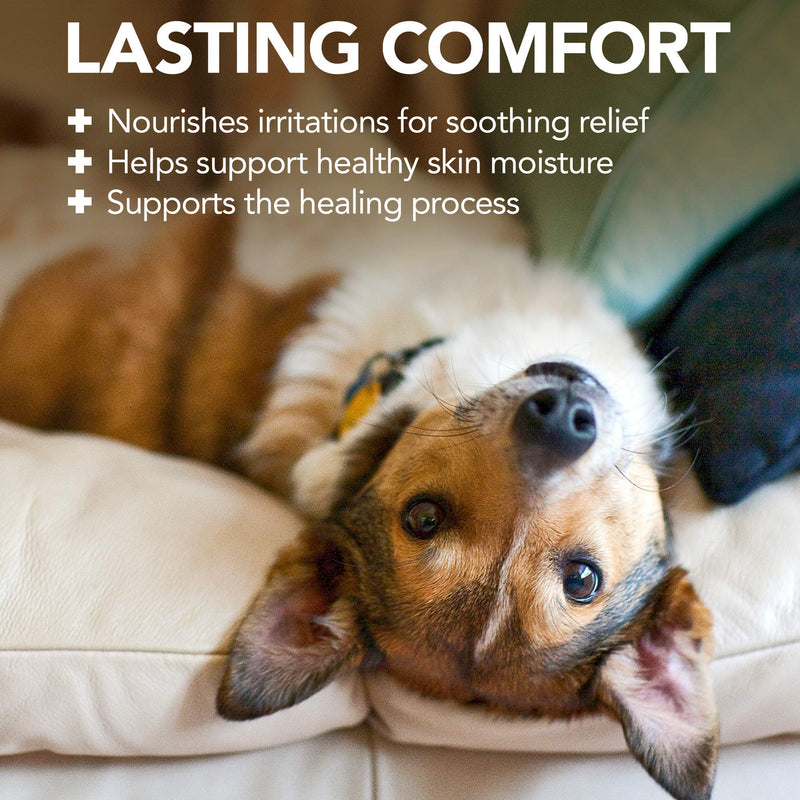 Vet's Best Hot Spot Itch Relief Shampoo for Dogs | Relieves Dog Dry Skin, Rash, Scratching, Licking, Itchy Skin, and Hot Spots | 16 Ounces - BeesActive Australia