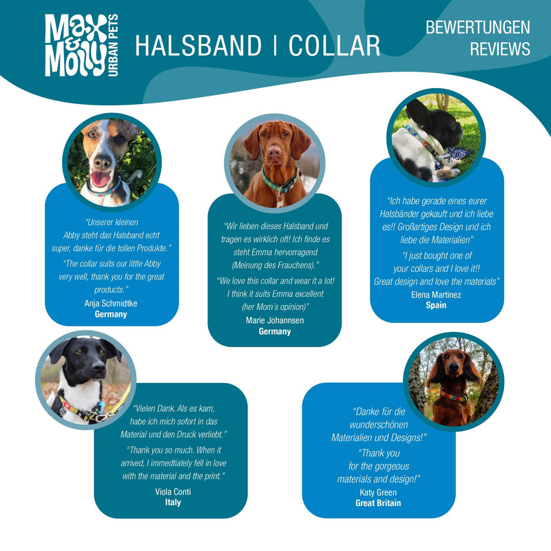 Max & Molly Smart ID Dog Collar with Gotcha! QR Pet Safety Tag and Custom Pet Profile, Soft Padded Neoprene, Waterproof, Machine Washable Collar Dogs Donuts Small - BeesActive Australia