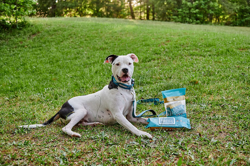 Happy Paws - Natural Pet Wipes for Dogs and Cats. Biodegradable Grooming for Paws, Eyes, Ears, Glands, and Coat. Large and Durable Cleansing Cloths for Essential Pet Care. 20 Individual Wrapped Wipes - BeesActive Australia