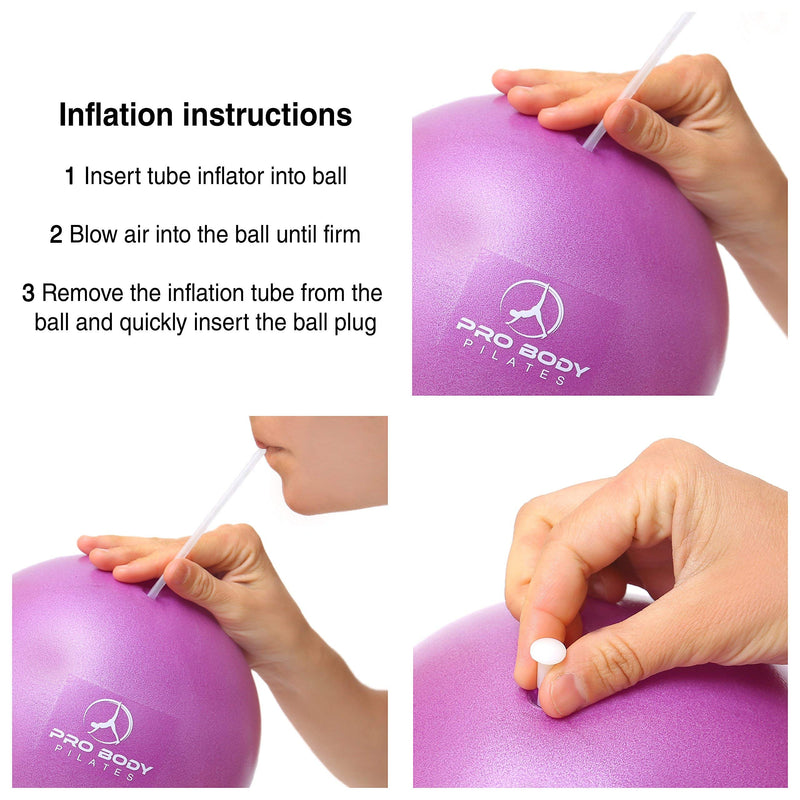 ProBody Pilates Mini Exercise Ball - 9 Inch Small Bender Ball for Stability, Barre, Pilates, Yoga, Balance, Core Training, Stretching and Physical Therapy with Workout Guide Aqua - BeesActive Australia