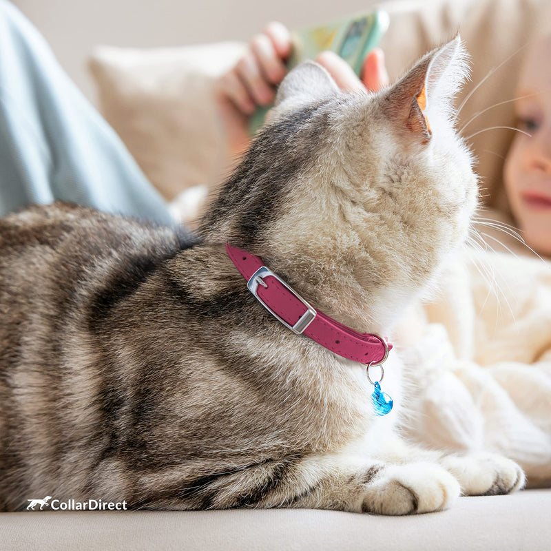 CollarDirect Leather Cat Collar, Cat Safety Collar with Elastic Strap, Kitten Collar for Cat with Bell Black Blue Red Orange Lime Green 9-11 Inch Pink - BeesActive Australia