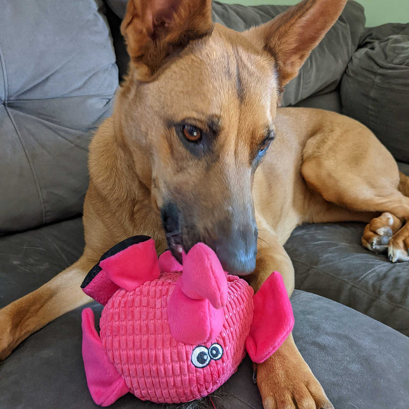 Snuggle Puppy Tender-Tuffs Ball - Round Pink Elephant Plush Dog Toy - Cute and Fun Plush Ball with Squeakers - BeesActive Australia