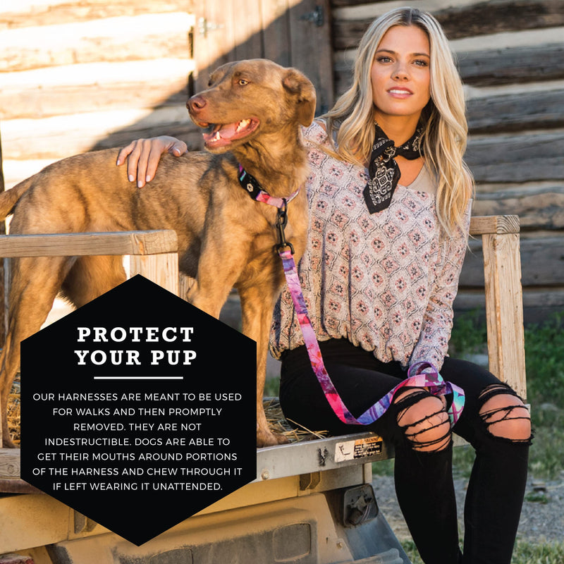 Wolfgang Man & Beast Premium No-Pull Dog Harness for Small Medium Large Dogs, Made in USA Medium (5/8 Inch x 16-24 Inch) DayDream Print - BeesActive Australia