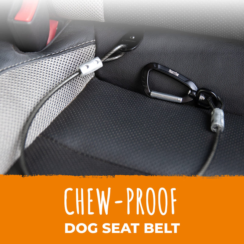 Mighty Paw Dog Seat Belt | No Chew Dog Seatbelt Tether, Pet Seat Belt for Car, Dog Car Leash, Dog Safety Belt for Car, Seatbelt for Dog in Car, Dog Seat Belt for Car, Dog Car Seat Belt Large - Puppy Medium Black - BeesActive Australia
