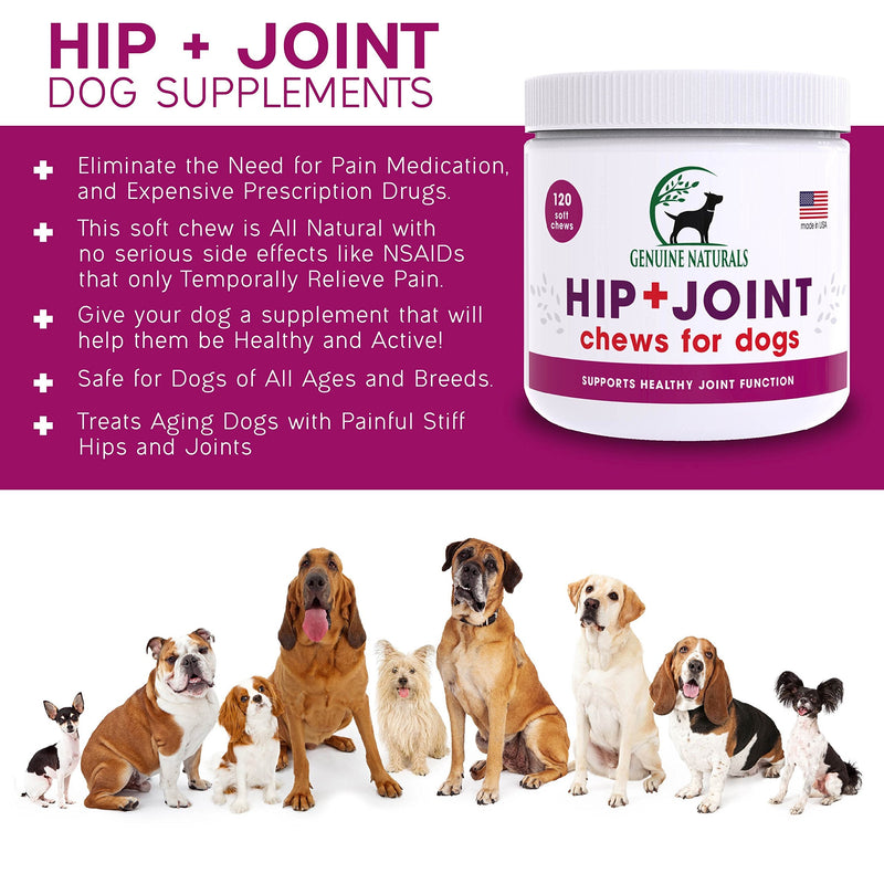 Genuine Naturals™ Glucosamine Chondroitin, MSM, Organic Turmeric Soft Chews, Hip and Joint Supplement for Dogs, Supports Healthy Joint Function and Helps with Pain Relief, 120-Count - BeesActive Australia