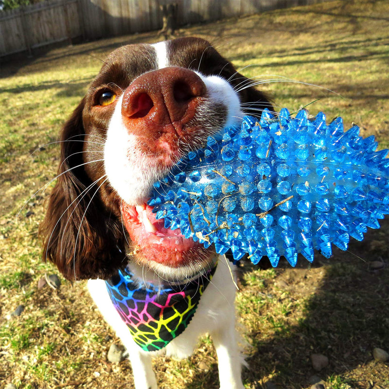 Gnawsome™ 4.5” Spiky Squeaker Football Dog Toy - Large, Cleans Teeth and Promotes Good Dental and Gum Health for Your Pet, Colors Will Vary - BeesActive Australia