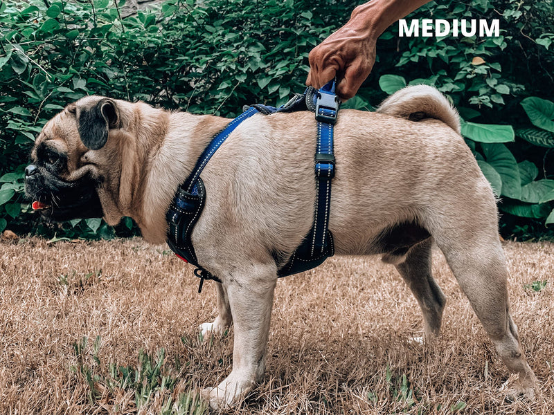 Tuff Pupper No Pull Dog Harness | Front/Back Leash Clips | Safety Handle | Reflective Dog Harness | Waterproof Shell | Padded Training Dog Harness for Comfort | Adjustable Small Medium Extra Large Dog Medium (Neck: 15-24" , Chest: 19-26") Midnight Blue - BeesActive Australia