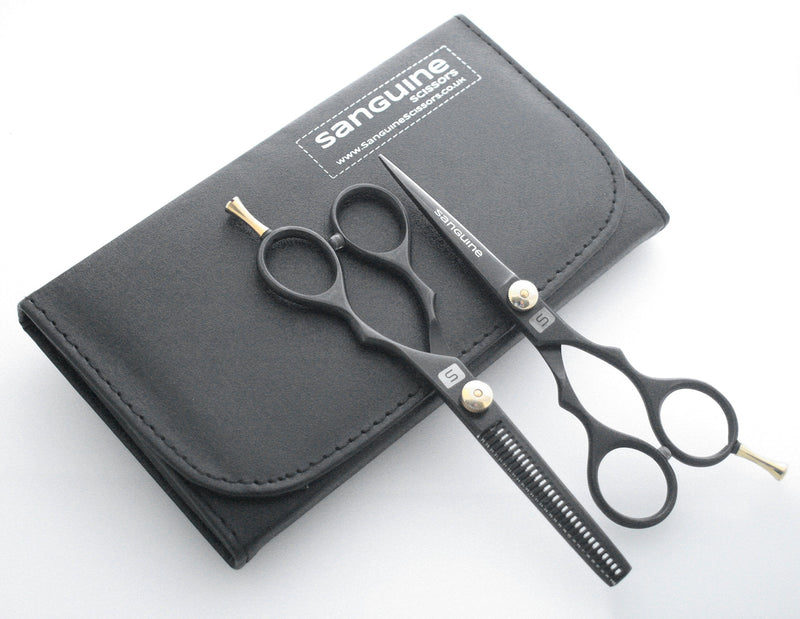 Professional Hair Scissors and Hair Thinning Scissors SET, 5.5 inch, Presentation Case 2 Piece Set - BeesActive Australia