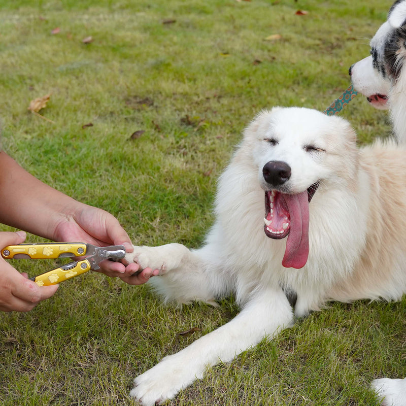 Easy Dog Nail Clippers for Sensitive Dogs, Perfect [Cut The Nails Like Butter] Dog Nail Clipper for Large Medium Small Size Breed, Heavy Duty Multi-Function Dog Toenail Clipper - BeesActive Australia